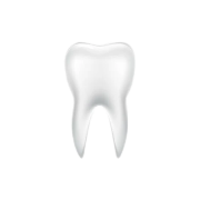 Dental Cover