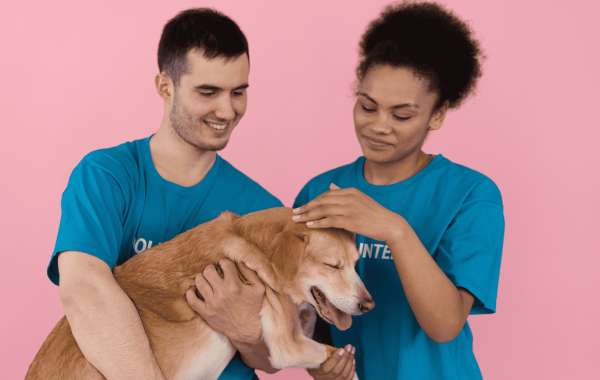 pet insurance