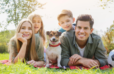 pet insurance