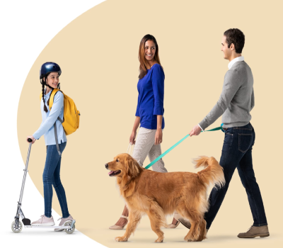 pet insurance