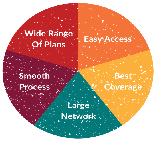 Pie chart individual health